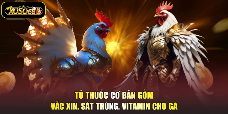 Tủ thuốc cơ bản gồm vắc xin, sát trùng, vitamin cho gà